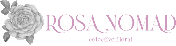 Rosa Nomad